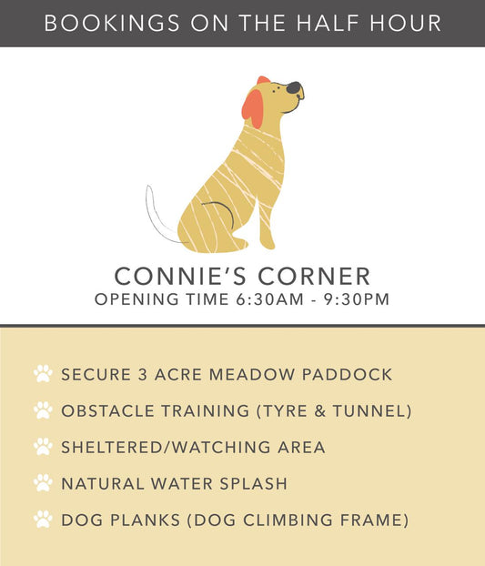 Connie's Corner